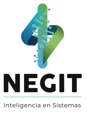 Equipo NEGIT